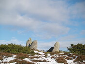 MHG8919_12.JPG