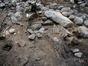 MHG29161_01.JPG