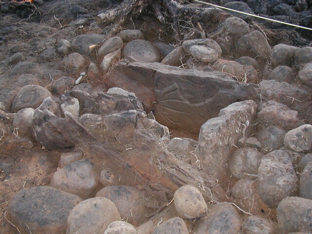 MHG29161_04.JPG