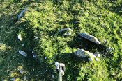 MHG8965_Druim Mor Cairn Overhead.jpg