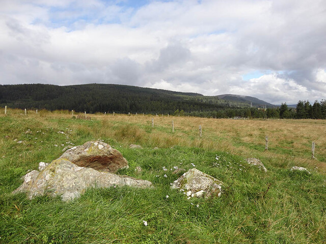 MHG8965_Looking North small.jpg