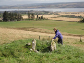 MHG8965_Looking SE.jpg