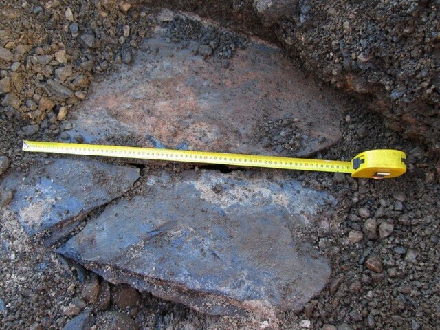 EHG4255_38.jpg