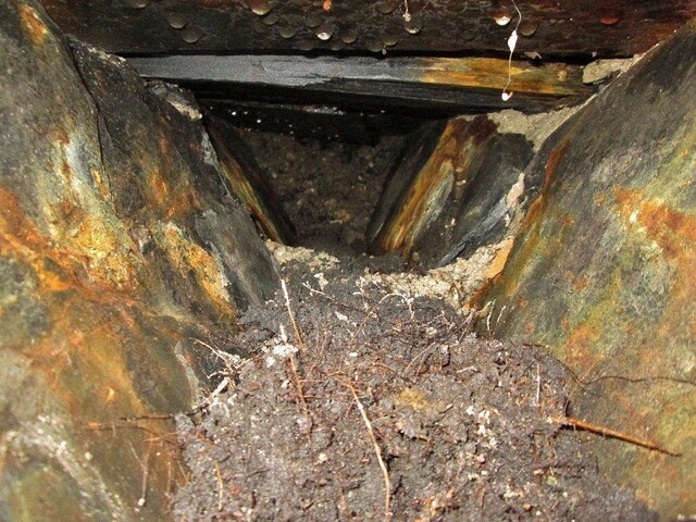 EHG4255_39.jpg