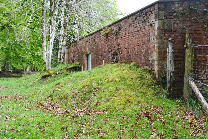 EHG4256_3.JPG