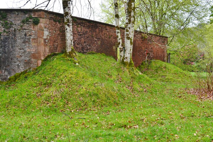 EHG4256_6.JPG