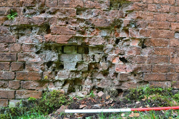 EHG4256_7.JPG