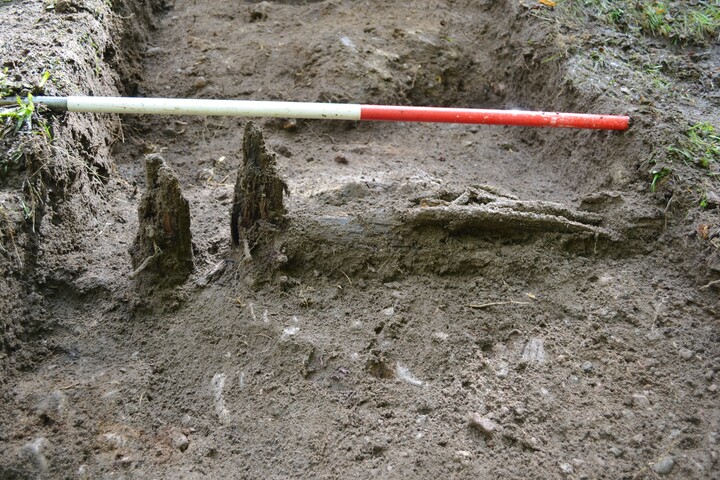 EHG4256_23.JPG