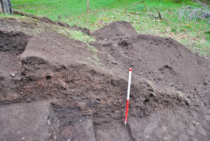 EHG4256_37.JPG