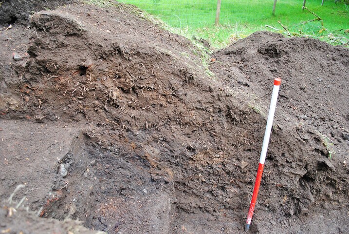 EHG4256_41.JPG