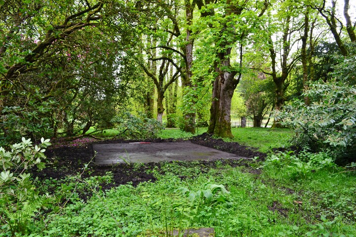 EHG4256_46.JPG