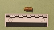 EHG4256_54.JPG