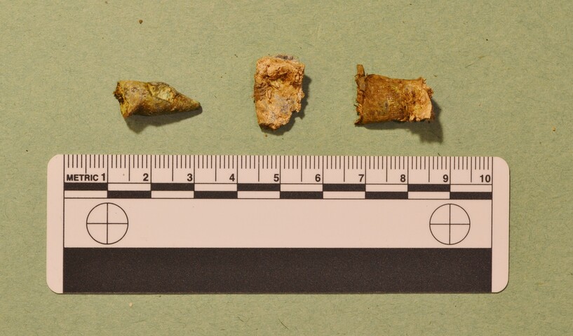 EHG4256_55.JPG