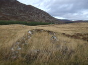 MHG34423_02.jpg