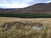 MHG34423_04.jpg