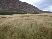 MHG34423_05.jpg