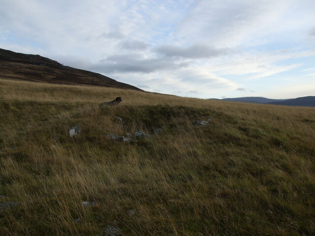 MHG34423_07.jpg