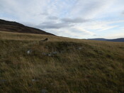 MHG34423_07.jpg