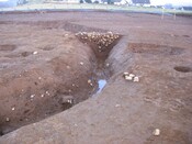 MHG51648_01.jpg