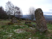 MHG3743.jpg