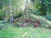 MHG4151_Sept07_1.JPG
