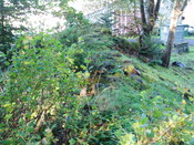 MHG4151_Sept07_2.JPG