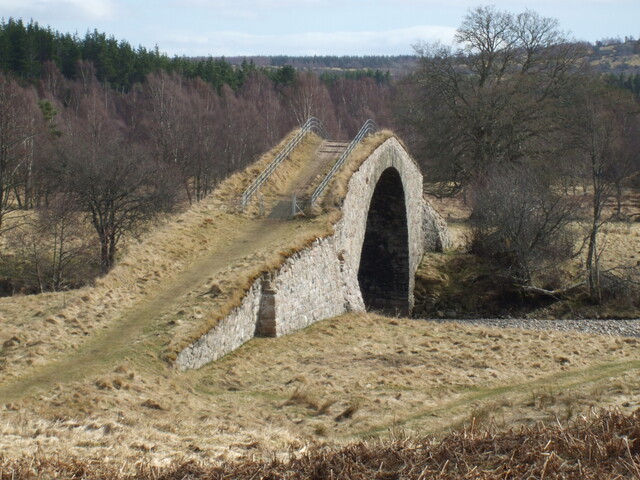 MHG4465.jpg