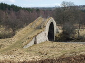 MHG4465.jpg