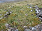 DSC00139 Mullardoch Building 4 from East.jpg