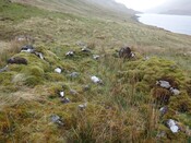 DSC00144 Mullardoch Building 5 from West.jpg