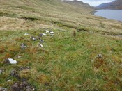 DSC00149 Mullardoch Building 6 from West.jpg