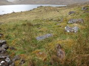 MHG56851_DSC00169 Mullardoch Building 8 old enclosure walls, from NE.jpg