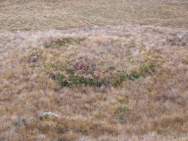 MHG8296_Dec07_1.jpg