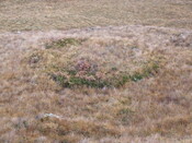 MHG8296_Dec07_1.jpg