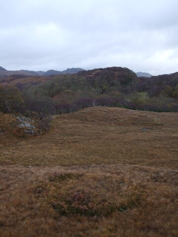 MHG8296_Dec07_2.jpg