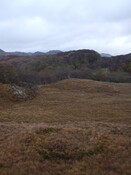 MHG8296_Dec07_2.jpg