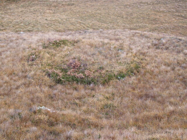 MHG8296_Dec07_3.jpg