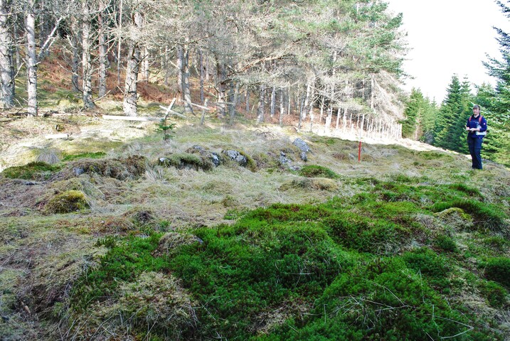 EHG4268_2.JPG
