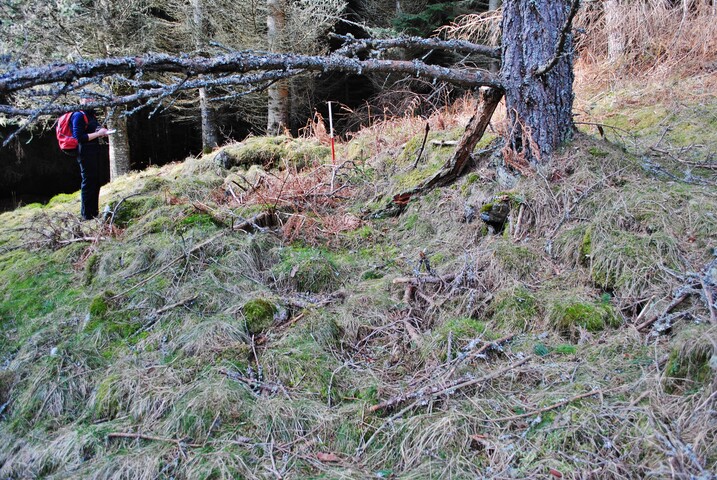 EHG4268_3.JPG