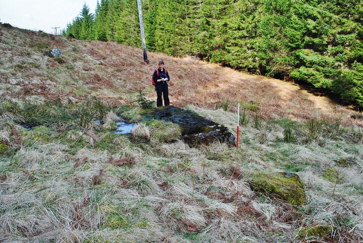EHG4268_4.JPG
