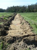 EHG4269_011.jpg