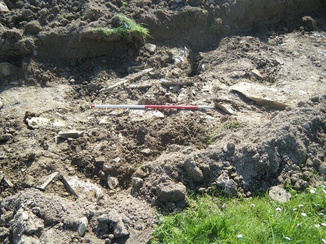 EHG4269_021.jpg