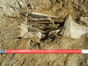 EHG4269_022.jpg