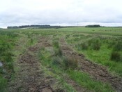EHG4269_151.jpg