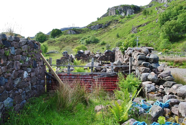 EHG4278_06.JPG