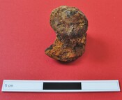 EHG4278_49.JPG