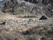 EHG4279_03.JPG