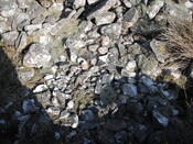 EHG4279_10.JPG