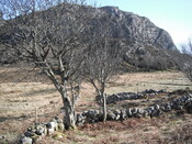 EHG4279_32.JPG