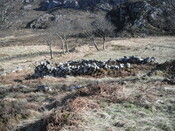 EHG4279_33.JPG